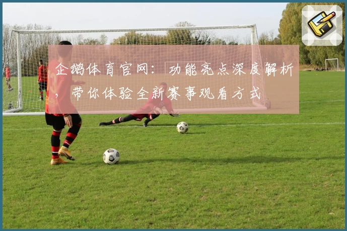 企鹅体育官网：功能亮点深度解析，带你体验全新赛事观看方式