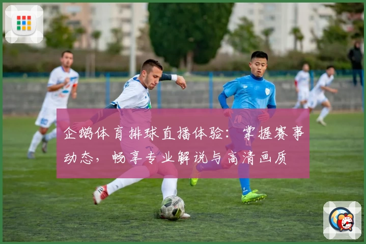 企鹅体育排球直播体验:掌握赛事动态,畅享专业解说与高清画质