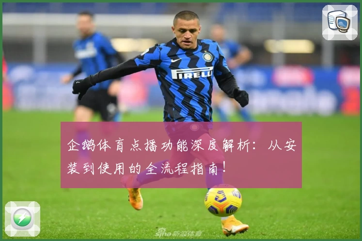 企鹅体育点播功能深度解析：从安装到使用的全流程指南！