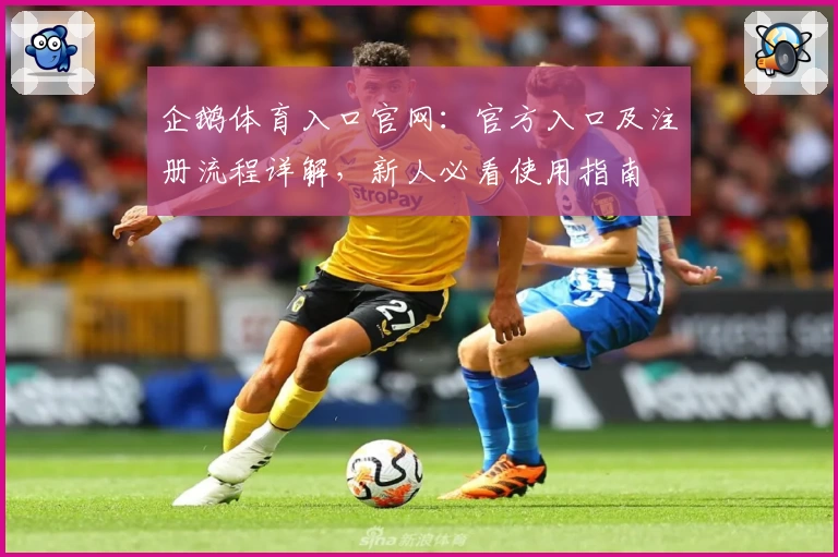 企鹅体育入口官网：官方入口及注册流程详解，新人必看使用指南