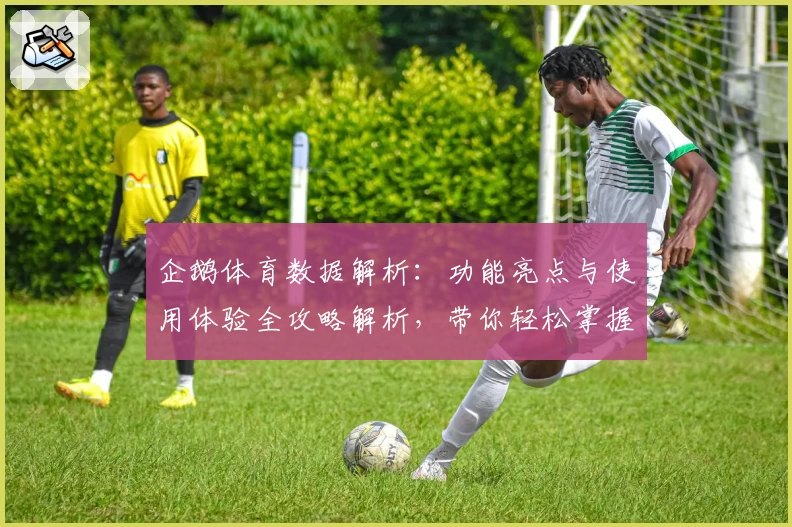企鹅体育数据解析：功能亮点与使用体验全攻略解析，带你轻松掌握体育动态！