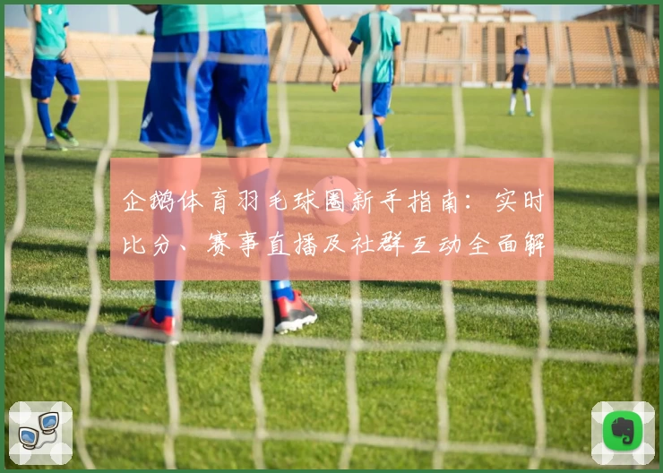 企鹅体育羽毛球圈新手指南：实时比分、赛事直播及社群互动全面解析
