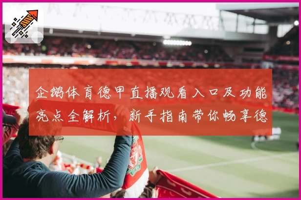 企鹅体育德甲直播观看入口及功能亮点全解析，新手指南带你畅享德甲赛事精彩瞬间
