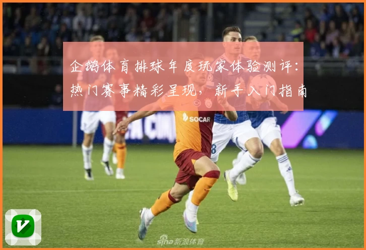 企鹅体育排球年度玩家体验测评：热门赛事精彩呈现，新手入门指南详解
