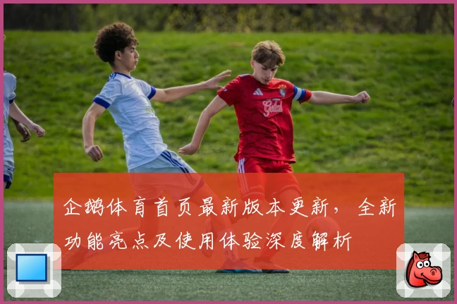 企鹅体育首页最新版本更新，全新功能亮点及使用体验深度解析